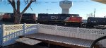 CN 5630